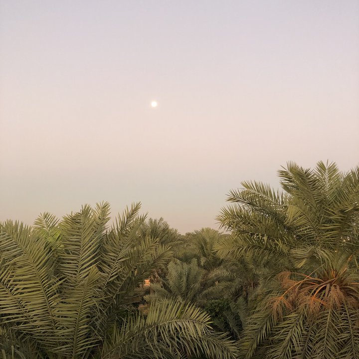 مشاركاتي في أنت الراصد