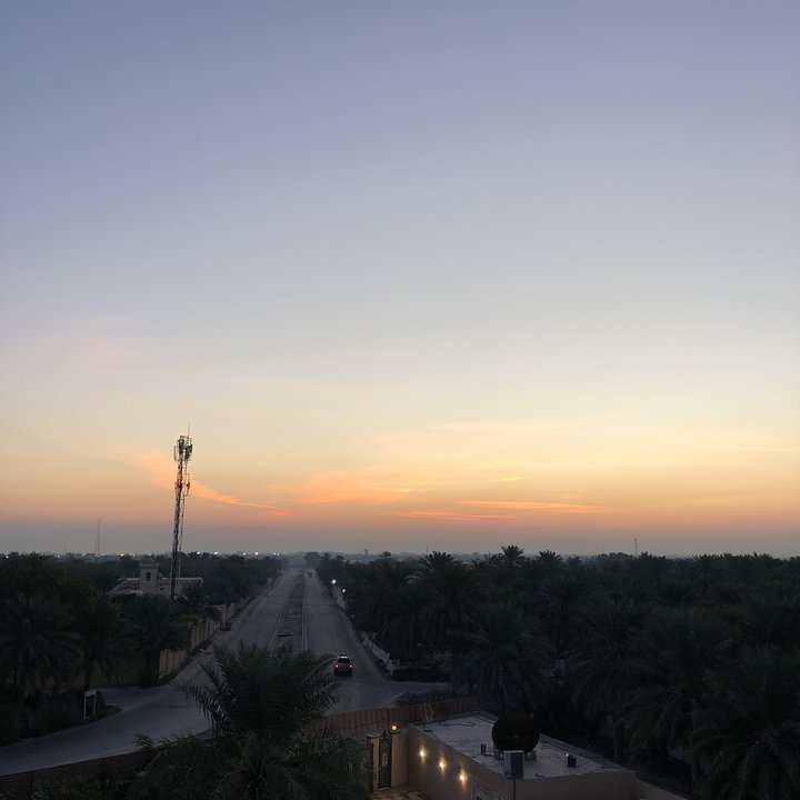 مشاركاتي في أنت الراصد