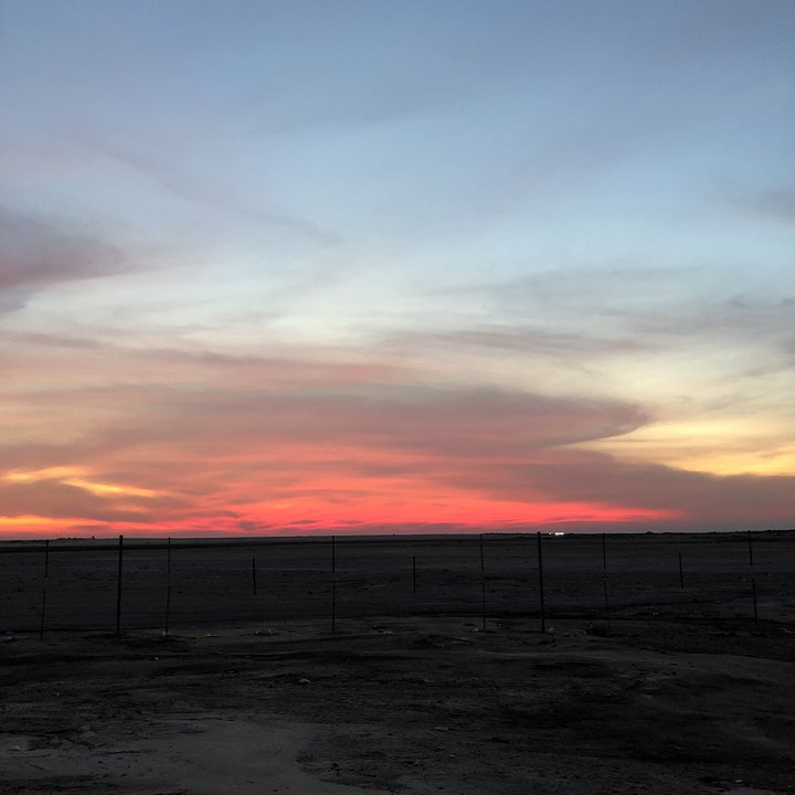 مشاركاتي في أنت الراصد