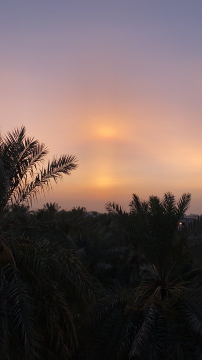 مشاركاتي في أنت الراصد