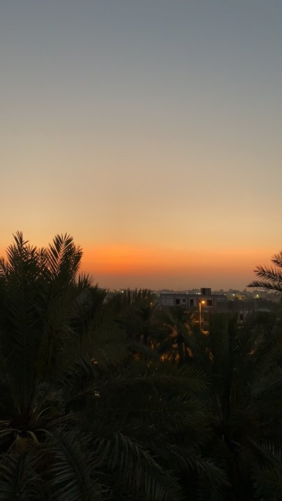 مشاركاتي في أنت الراصد