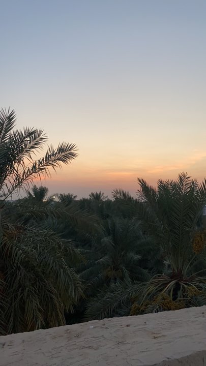 مشاركاتي في أنت الراصد