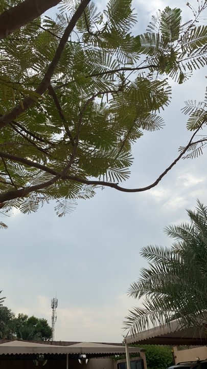 مشاركاتي في أنت الراصد