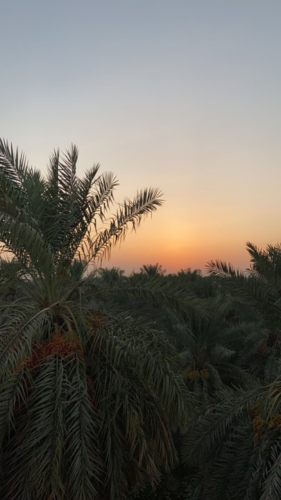 My Crowdsourcing Posts