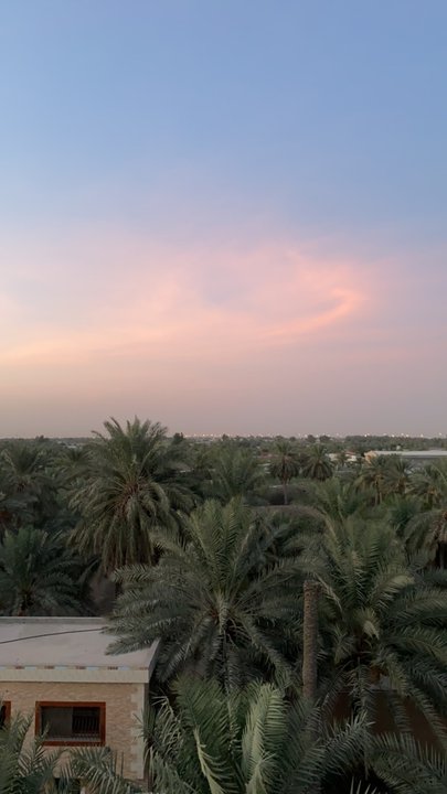 مشاركاتي في أنت الراصد