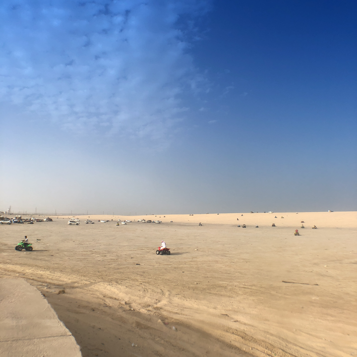 مشاركاتي في أنت الراصد