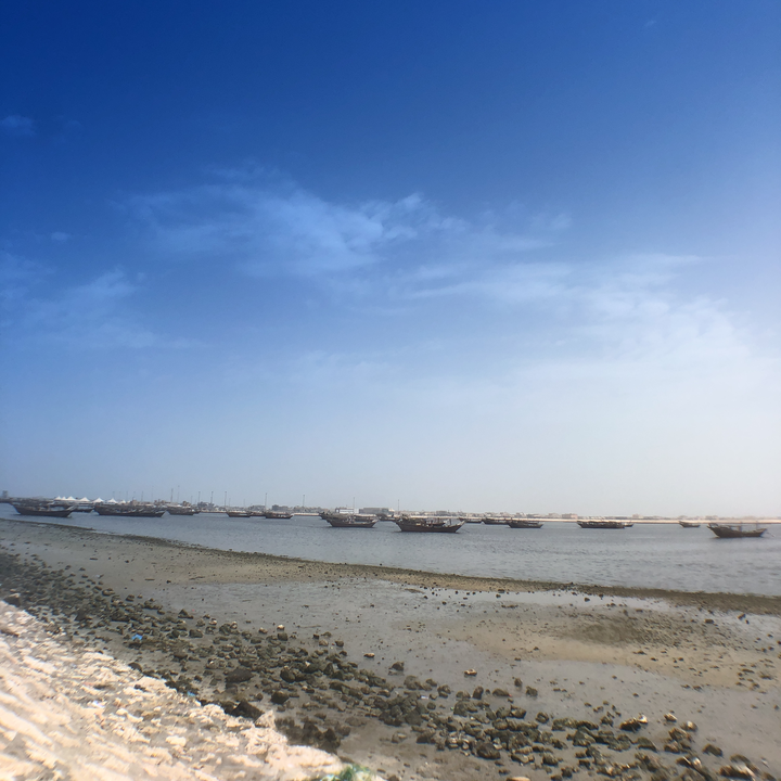 مشاركاتي في أنت الراصد