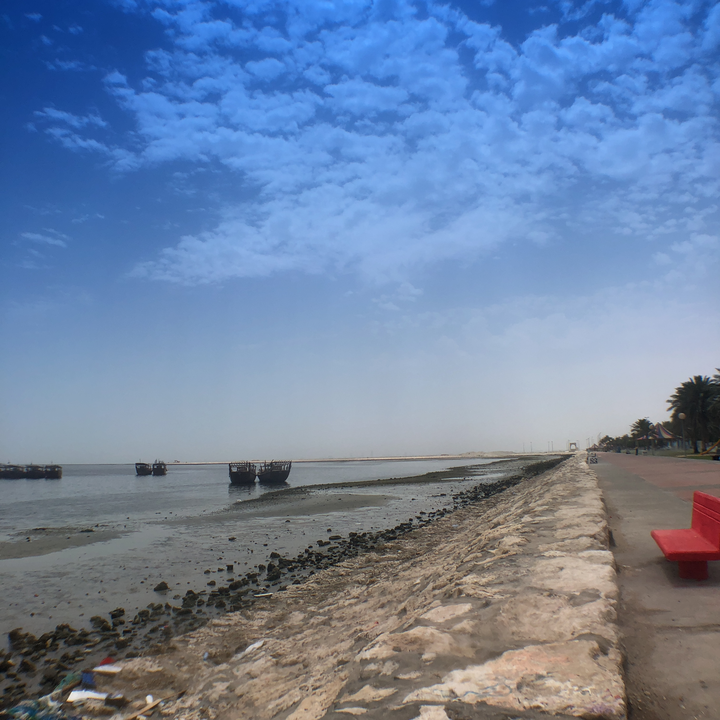 مشاركاتي في أنت الراصد