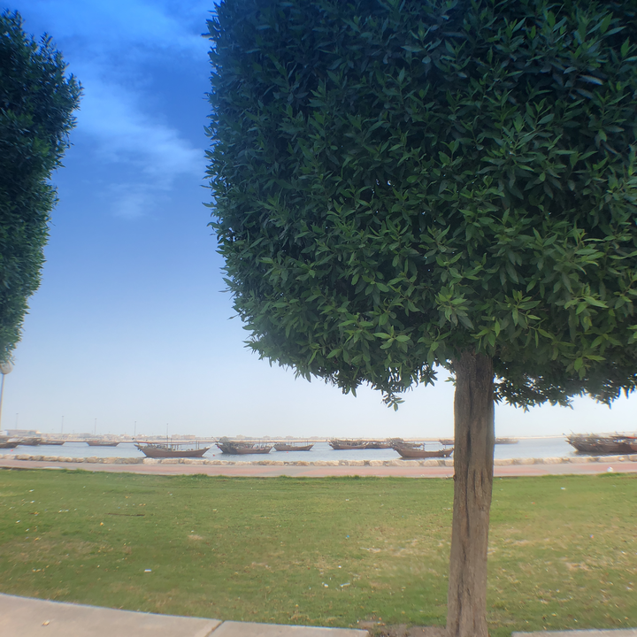 مشاركاتي في أنت الراصد