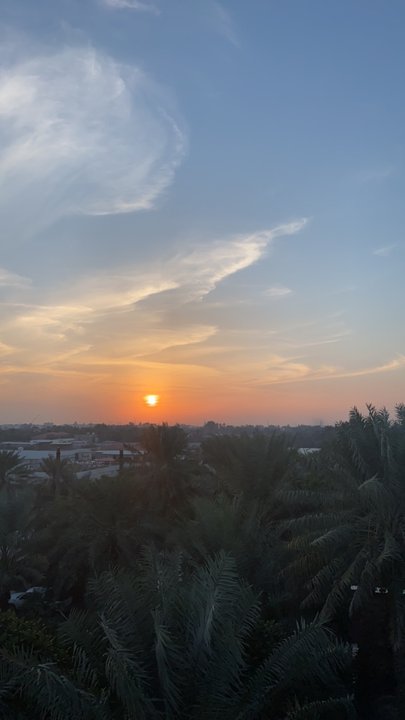 مشاركاتي في أنت الراصد