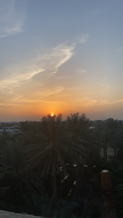 مشاركاتي في أنت الراصد