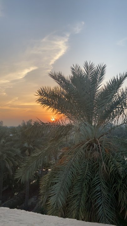 مشاركاتي في أنت الراصد