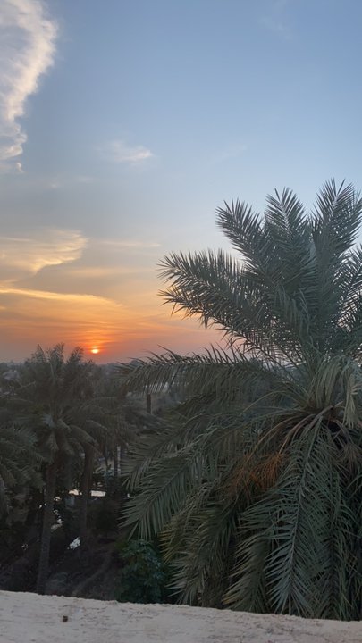 مشاركاتي في أنت الراصد