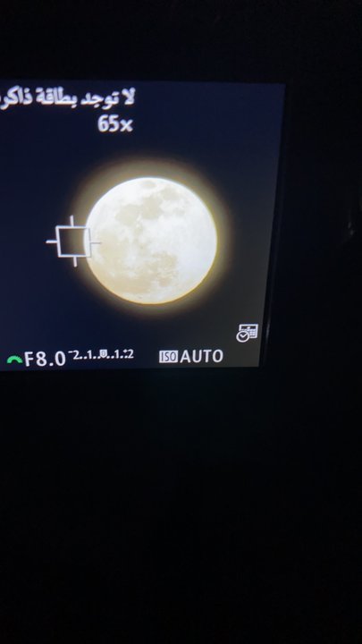 مشاركاتي في أنت الراصد