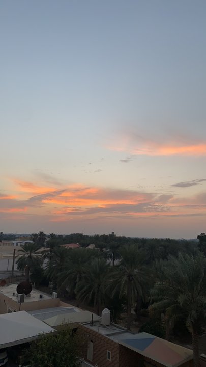 مشاركاتي في أنت الراصد