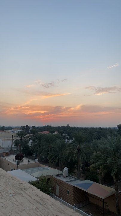 مشاركاتي في أنت الراصد