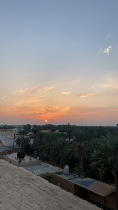 مشاركاتي في أنت الراصد