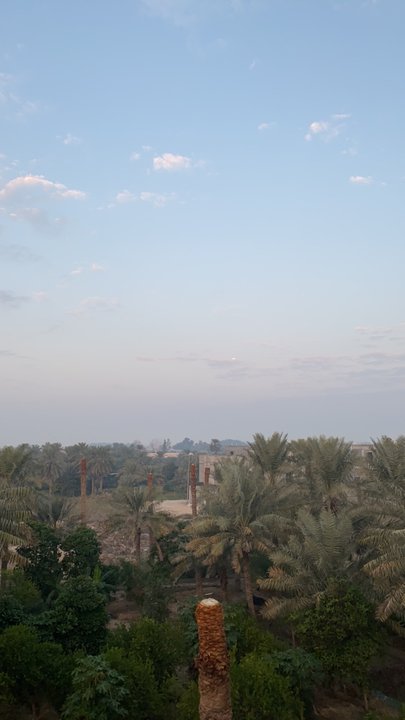 مشاركاتي في أنت الراصد