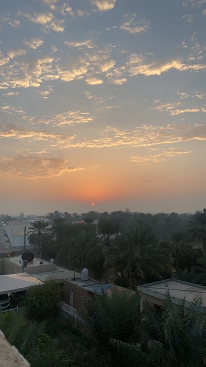 مشاركاتي في أنت الراصد