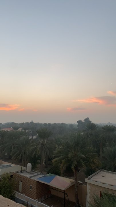 مشاركاتي في أنت الراصد