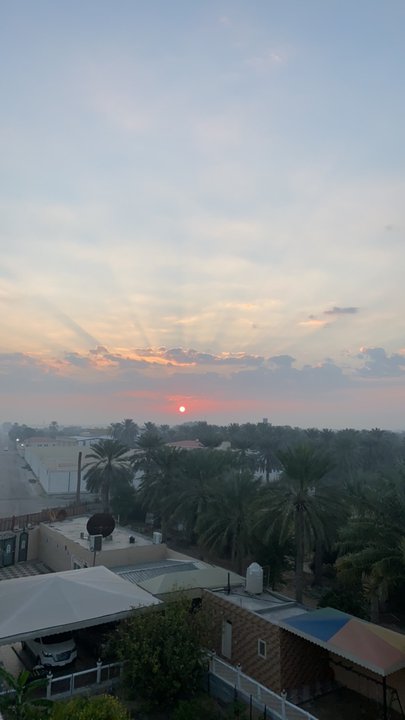 مشاركاتي في أنت الراصد