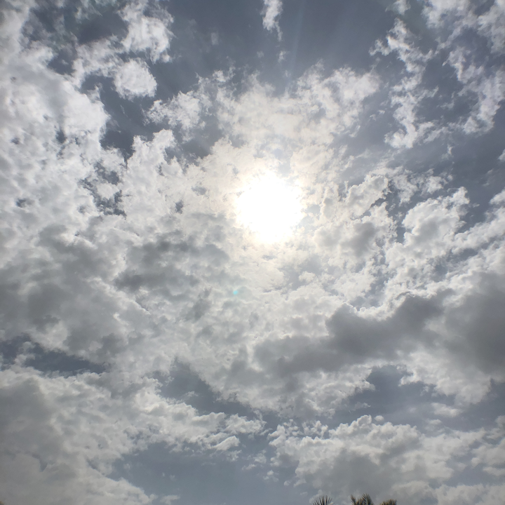 مشاركاتي في أنت الراصد