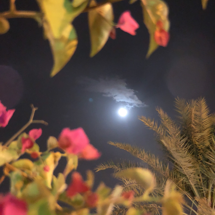 مشاركاتي في أنت الراصد