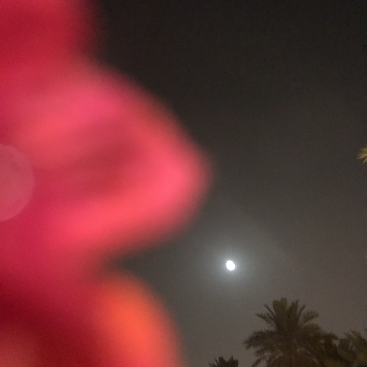 Mes publications Crowdsourcing