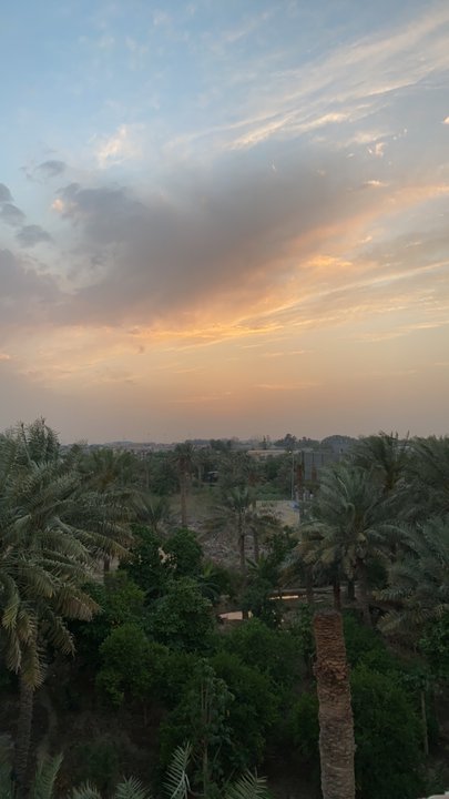 مشاركاتي في أنت الراصد