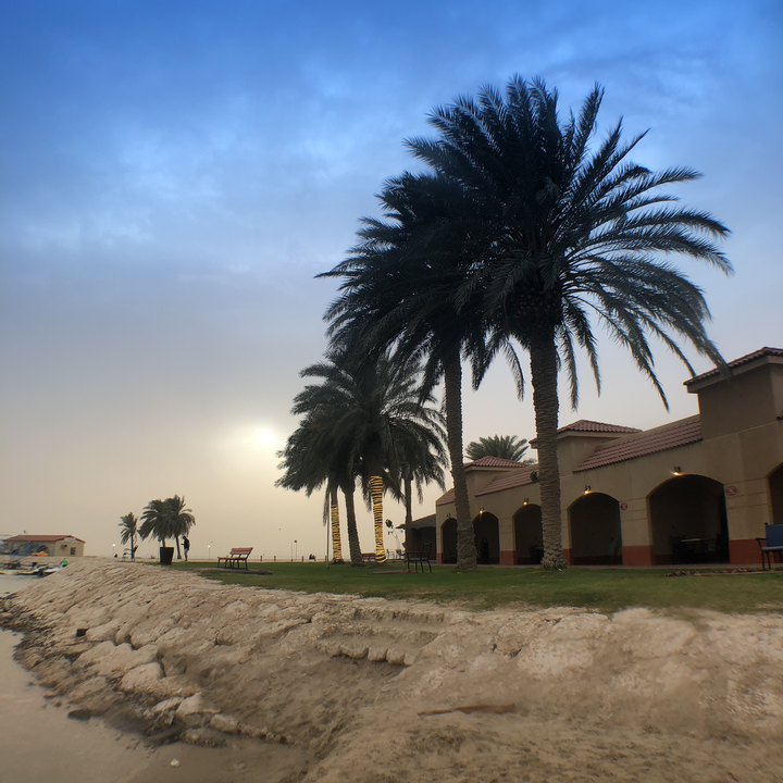 مشاركاتي في أنت الراصد