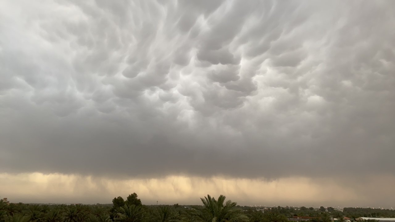 مشاركاتي في أنت الراصد