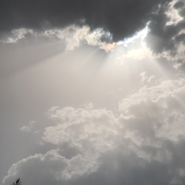 مشاركاتي في أنت الراصد