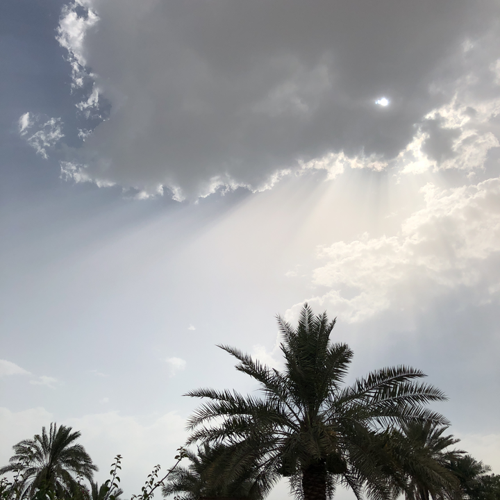 مشاركاتي في أنت الراصد