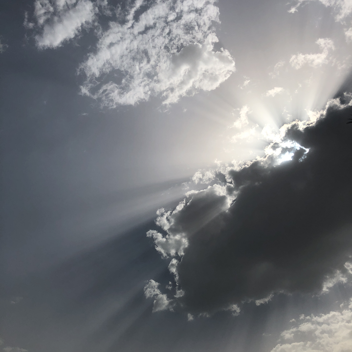 مشاركاتي في أنت الراصد