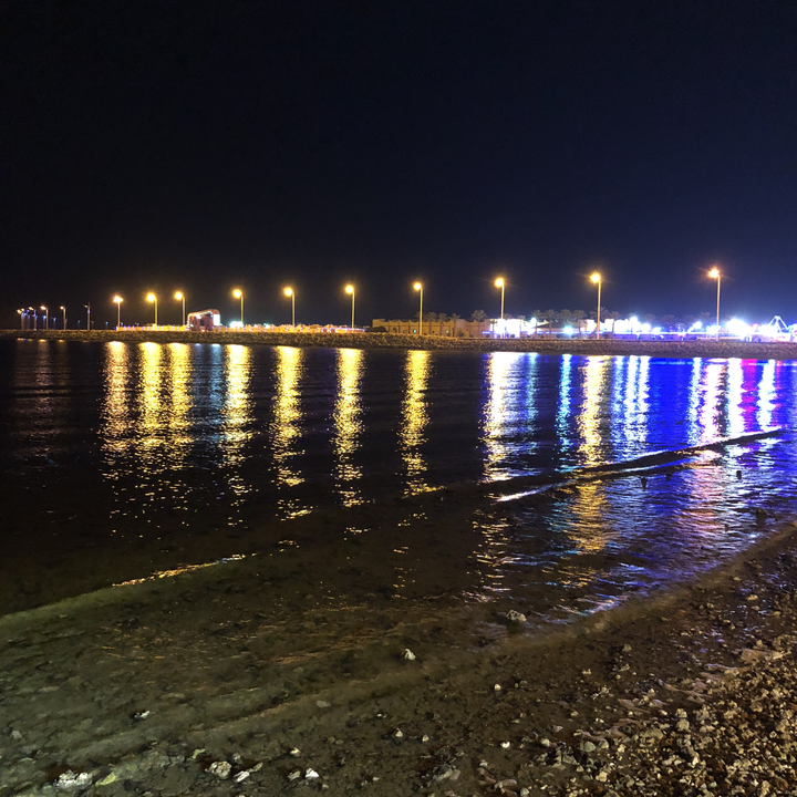 مشاركاتي في أنت الراصد