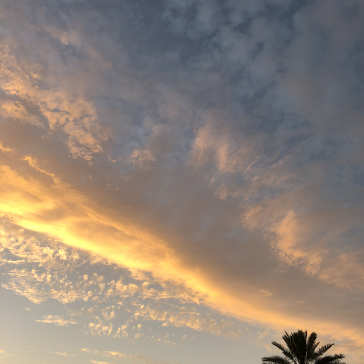 مشاركاتي في أنت الراصد