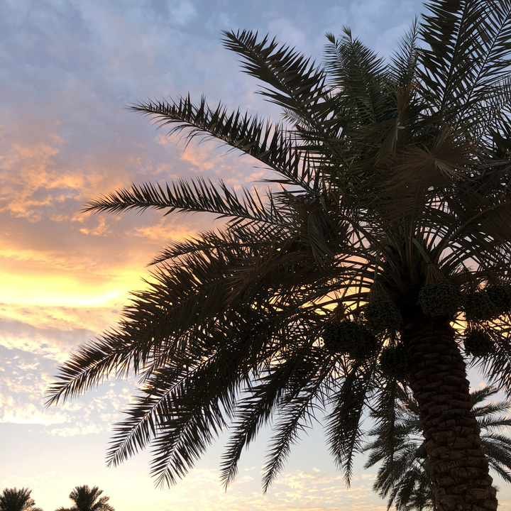 مشاركاتي في أنت الراصد