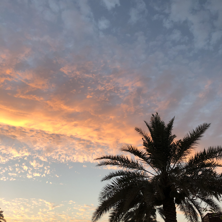 مشاركاتي في أنت الراصد