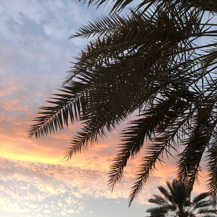 مشاركاتي في أنت الراصد