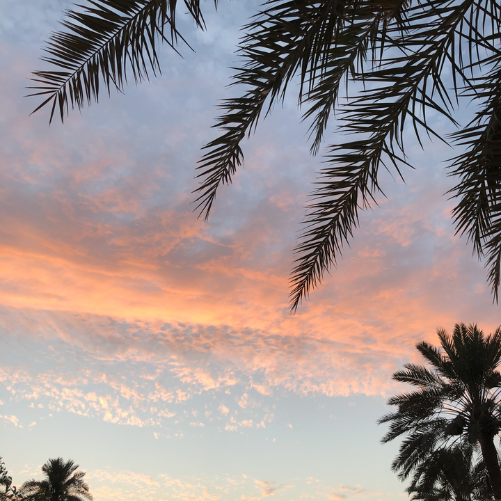 مشاركاتي في أنت الراصد