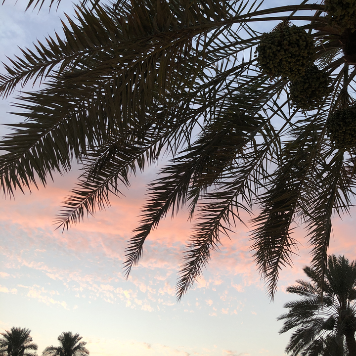 مشاركاتي في أنت الراصد