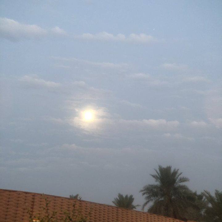 مشاركاتي في أنت الراصد