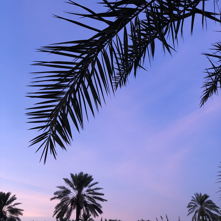 مشاركاتي في أنت الراصد