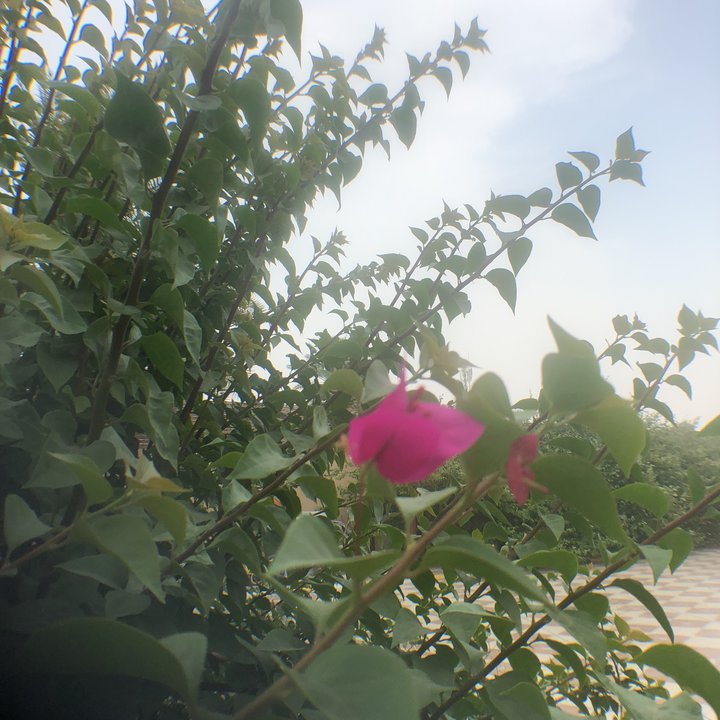 My Crowdsourcing Posts