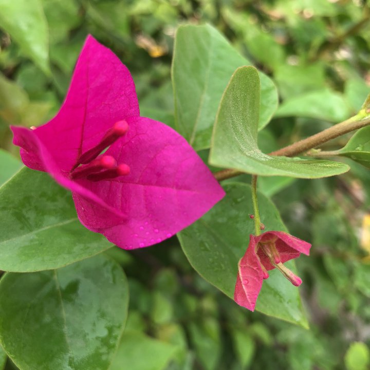 My Crowdsourcing Posts