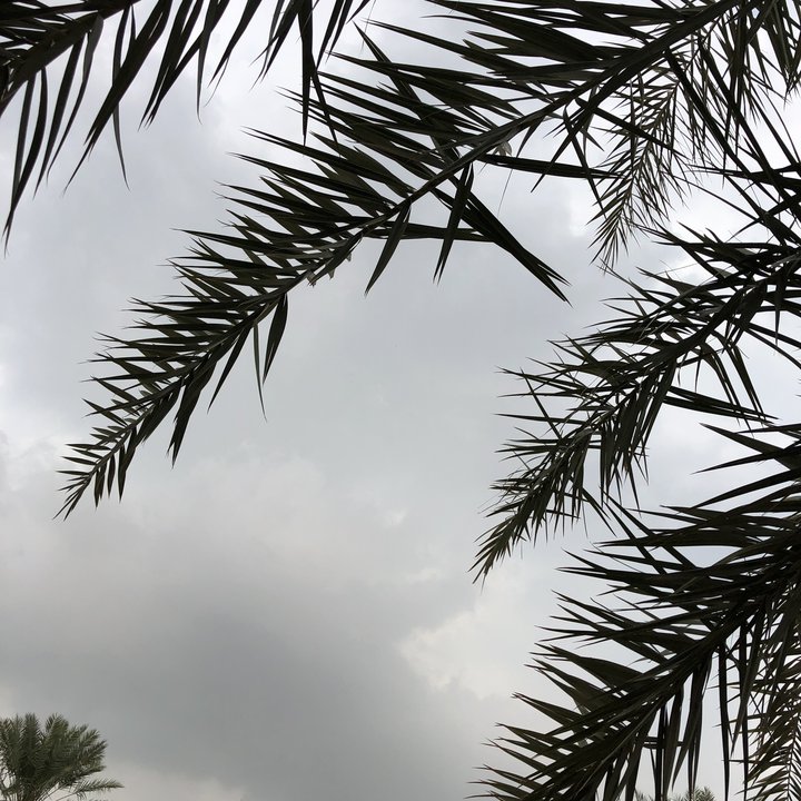 My Crowdsourcing Posts