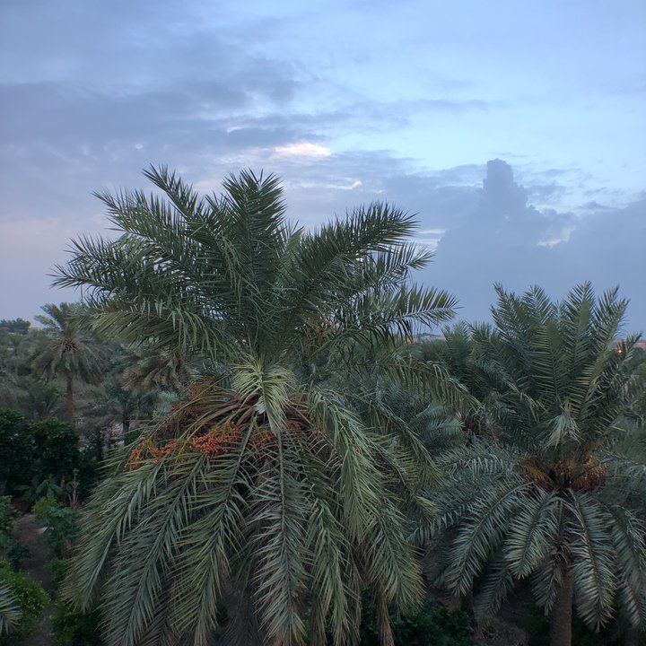 My Crowdsourcing Posts