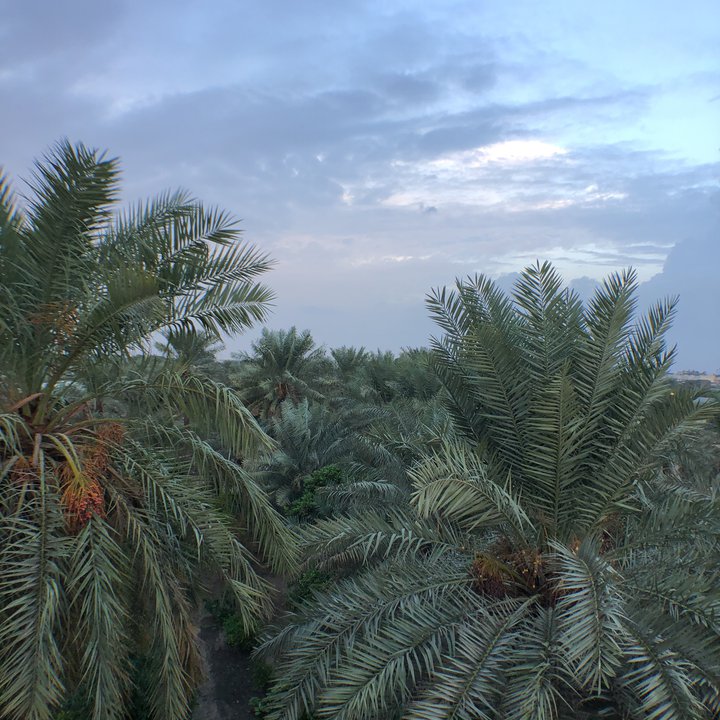 My Crowdsourcing Posts