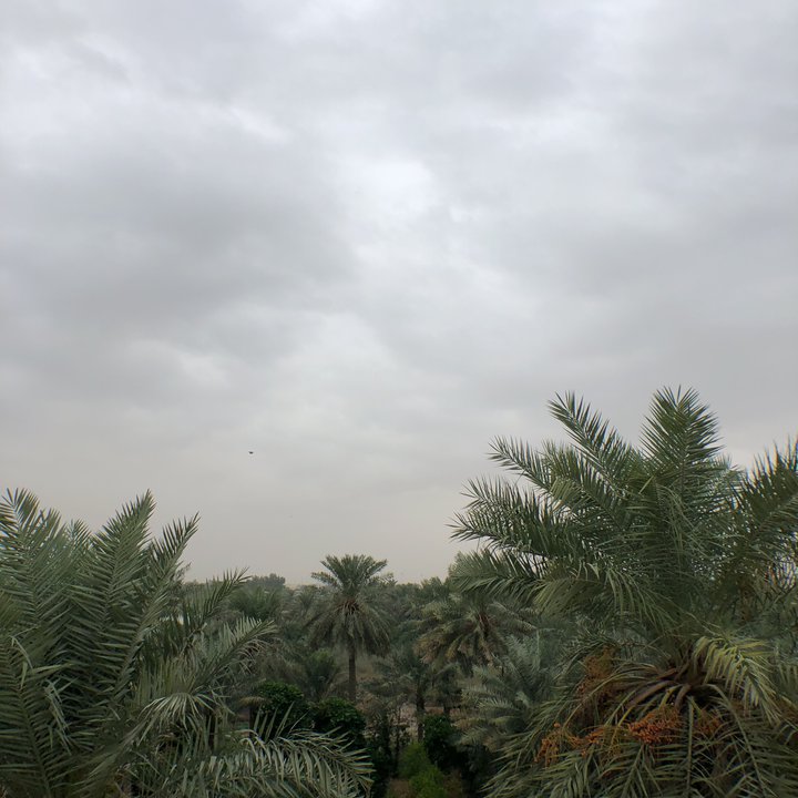 My Crowdsourcing Posts