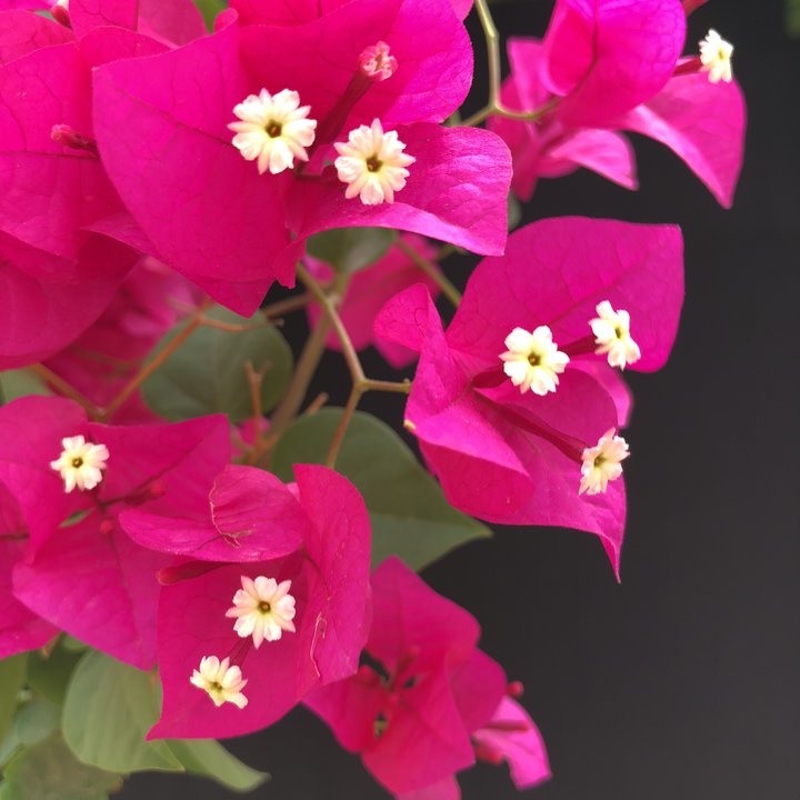 My Crowdsourcing Posts